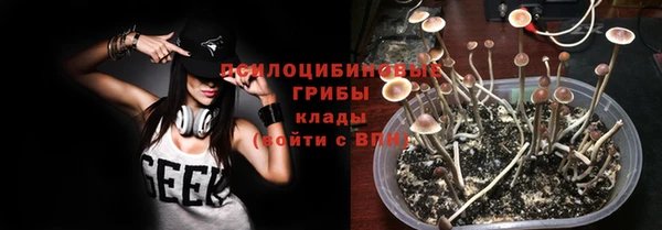 прущие крисы Бронницы