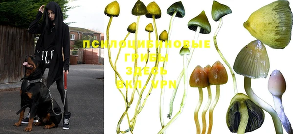 кристаллы Бородино